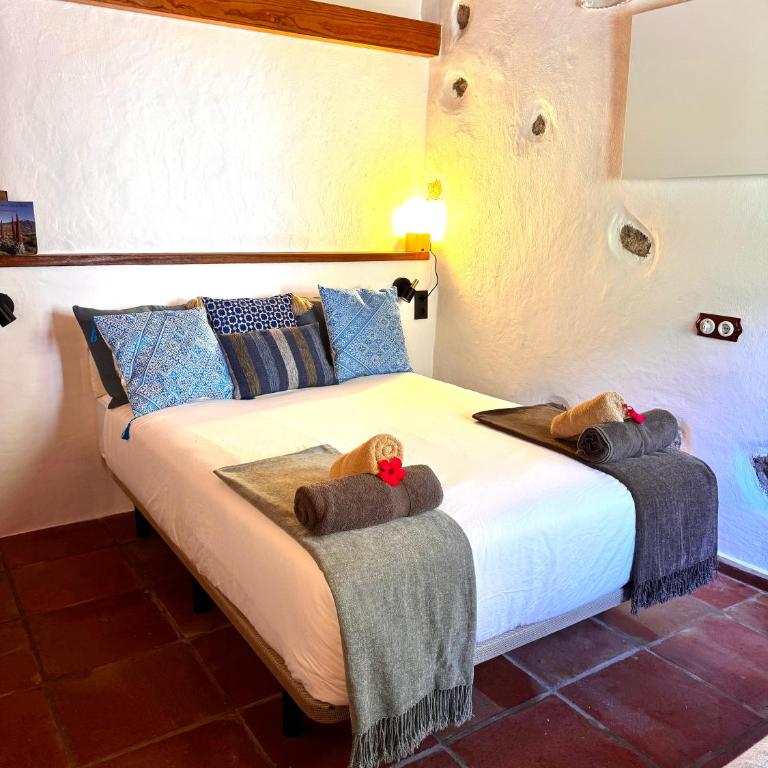 Casa Rural Chamorga - Pensión - Guesthouse - - Habitación Doble con baño privado - 13