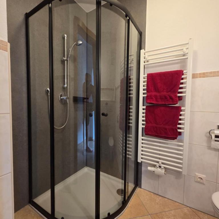 Landhaus Tirol - Apartment mit 2 Schlafzimmern und Balkon - 22