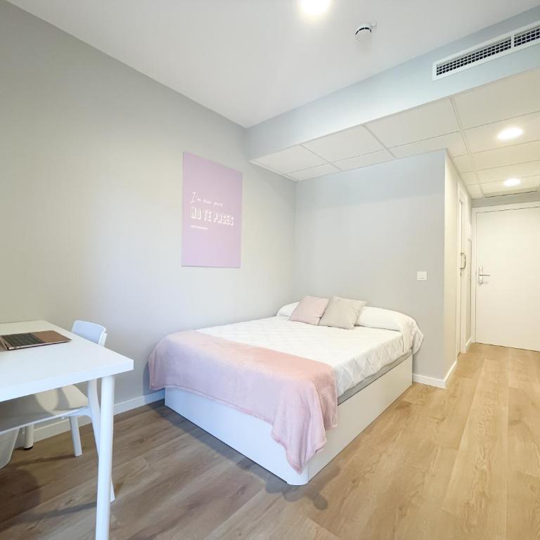 Habitaciones Madrid - La Latina - Habitación Doble con terraza - 5