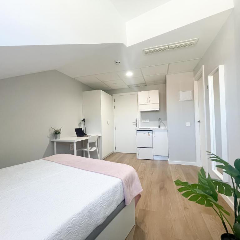 Habitaciones Madrid - La Latina - Estudio Deluxe - 6