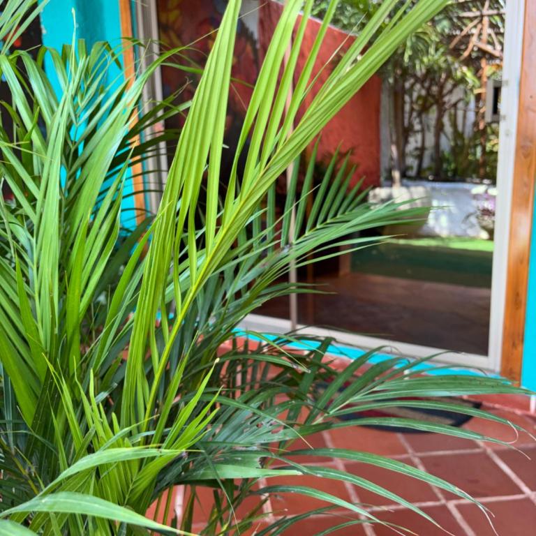Pirita Beach House - Double Room with Terrace - 1