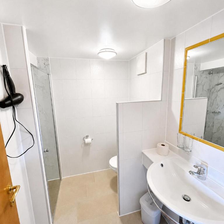 Appartements-Restaurant Schwaiger direkt beim Lift und wunderschönen Bergblick - Apartment - 9