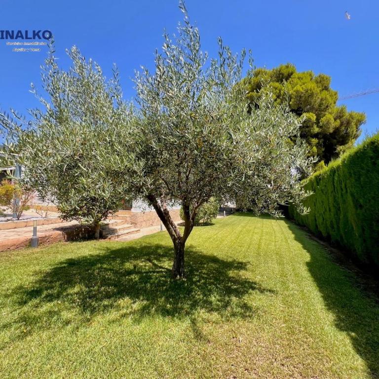 Villa Marina - Inalko - Casa con 3 Camere da Letto - 51