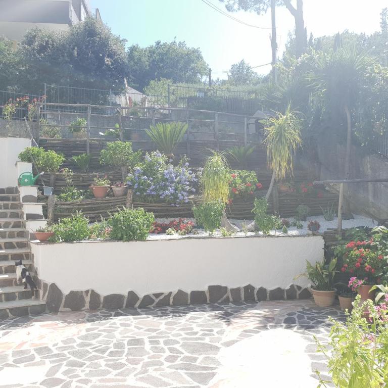 Lodge Rosa - Casa con 2 Camere da Letto - 19