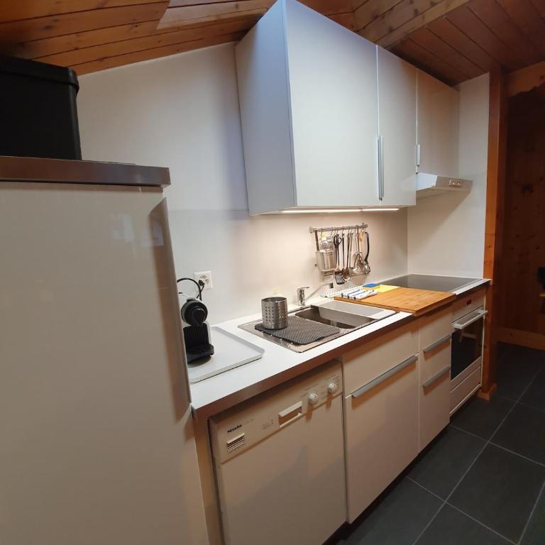 Zermatt center Apartment with Matterhorn view - Apartamento de 3 dormitorios - 19