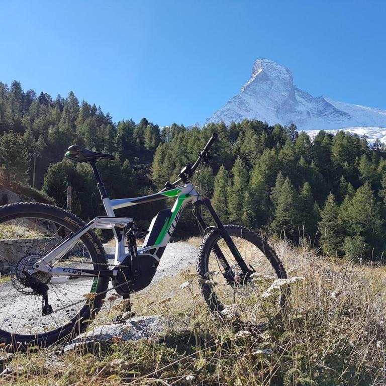 Zermatt center Apartment with Matterhorn view - Apartamento de 3 dormitorios - 20