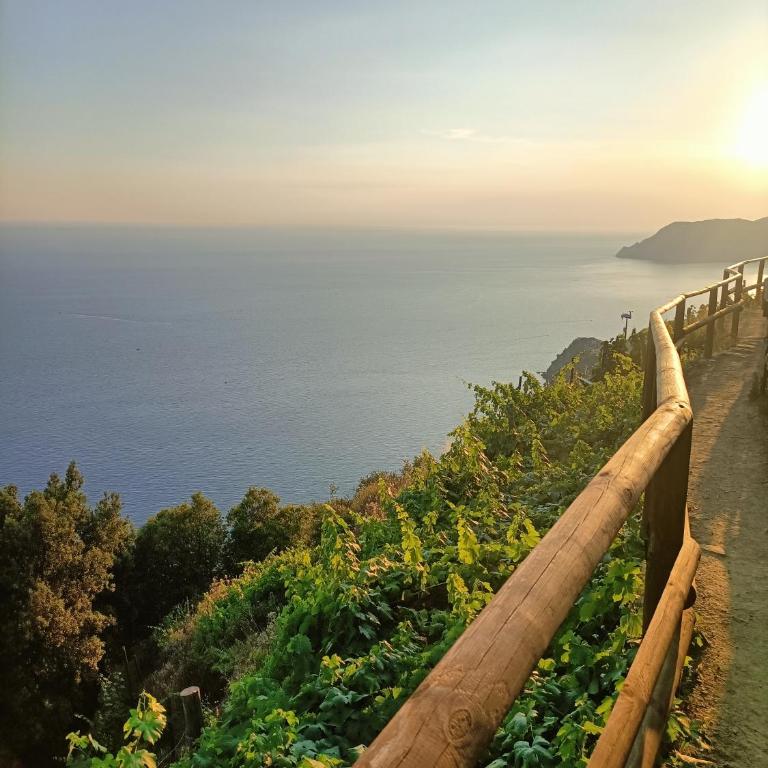 Casa Oleaster Cinque Terre - One-Bedroom Apartment - 25