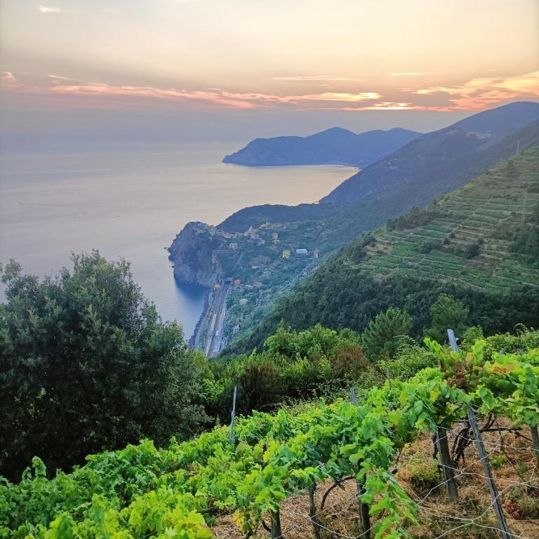 Casa Oleaster Cinque Terre - One-Bedroom Apartment - 27