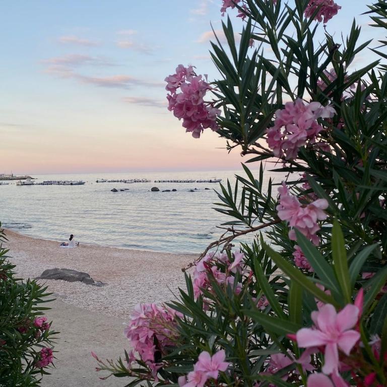Maison Ilary Accogliente Casa Mare - Casa Vacanze - 1