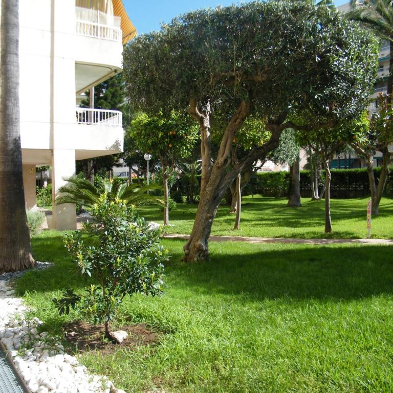 Apartamento con aire acondicionado y parking - 6 pers. - ES-314-45 - Apartamento - 28