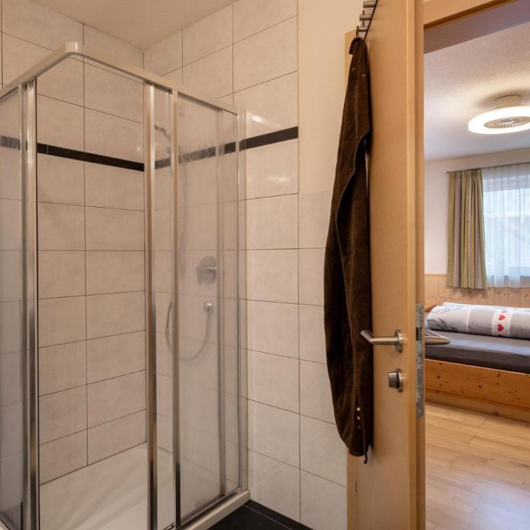 Ferienwohnung Lechner Daniel - Appartement 1 Chambre avec Douche - 9