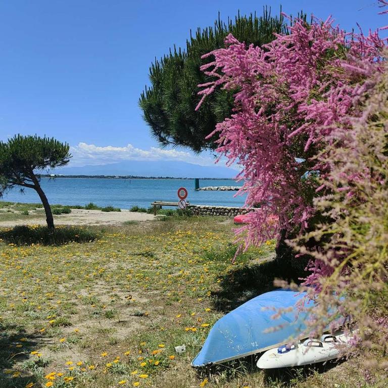 Maisonnette familiale avec clim - 5 pers. - FR-1-195-129 - Casa Vacanze - 12