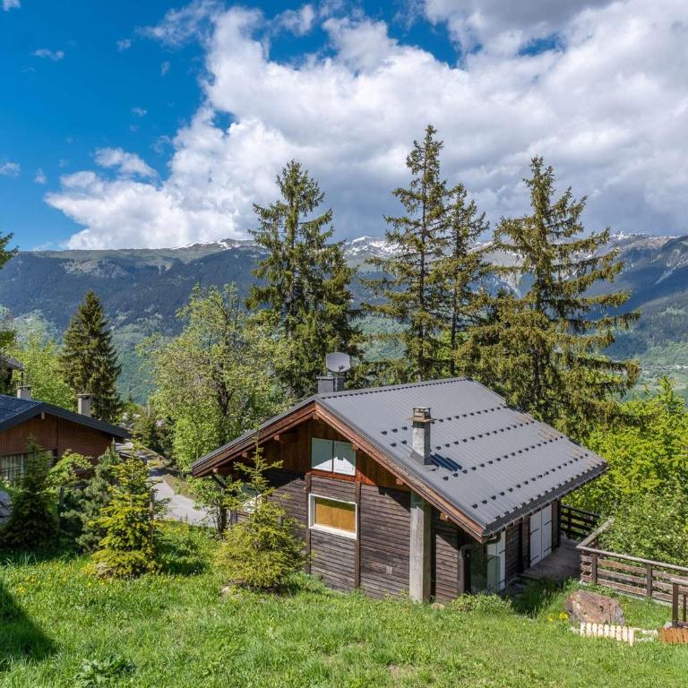 Appartement chalet, détente - 10 pers. - FR-1-631-256 - Appartement - 18