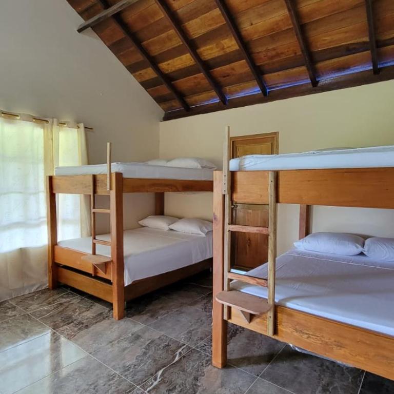 Cocoloco's Lodge - Superior Bungalow - 43