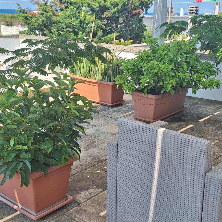 Da zia Sofia - Doppelzimmer mit Terrasse - 8