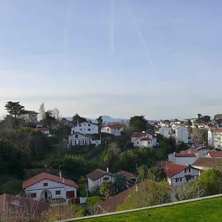 Charming T3 with parking near the ocean - Appartement - 22