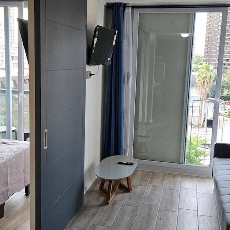 Santiago apartment, steps away from the Italia neighborhood - One-Bedroom Apartment - 24