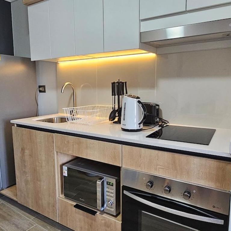 Santiago apartment, steps away from the Italia neighborhood - One-Bedroom Apartment - 25