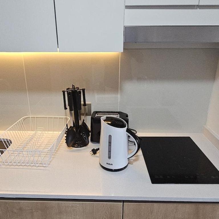 Santiago apartment, steps away from the Italia neighborhood - One-Bedroom Apartment - 22