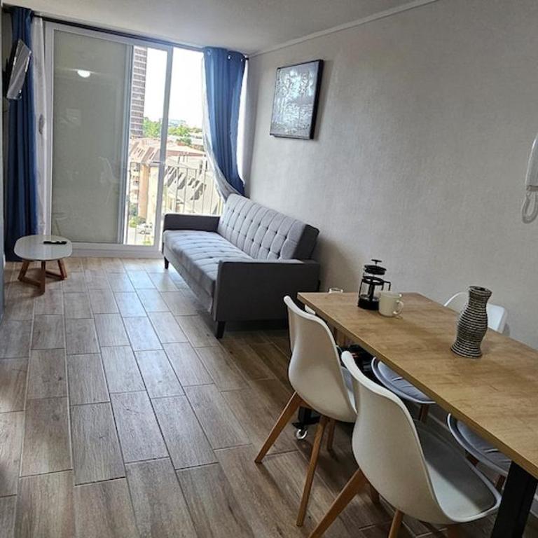 Santiago apartment, steps away from the Italia neighborhood - One-Bedroom Apartment - 20