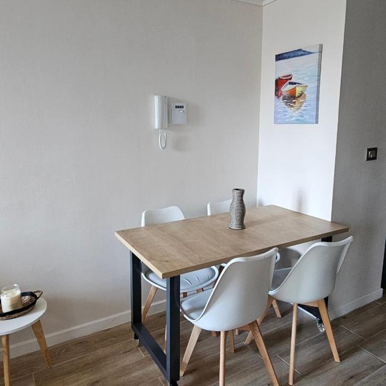 Santiago apartment, steps away from the Italia neighborhood - One-Bedroom Apartment - 15