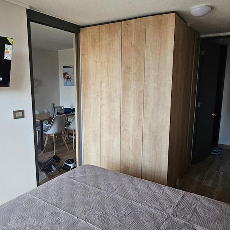Santiago apartment, steps away from the Italia neighborhood - One-Bedroom Apartment - 14