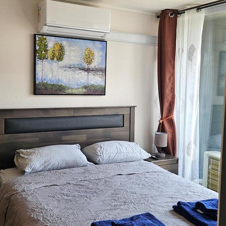 Santiago apartment, steps away from the Italia neighborhood - One-Bedroom Apartment - 4