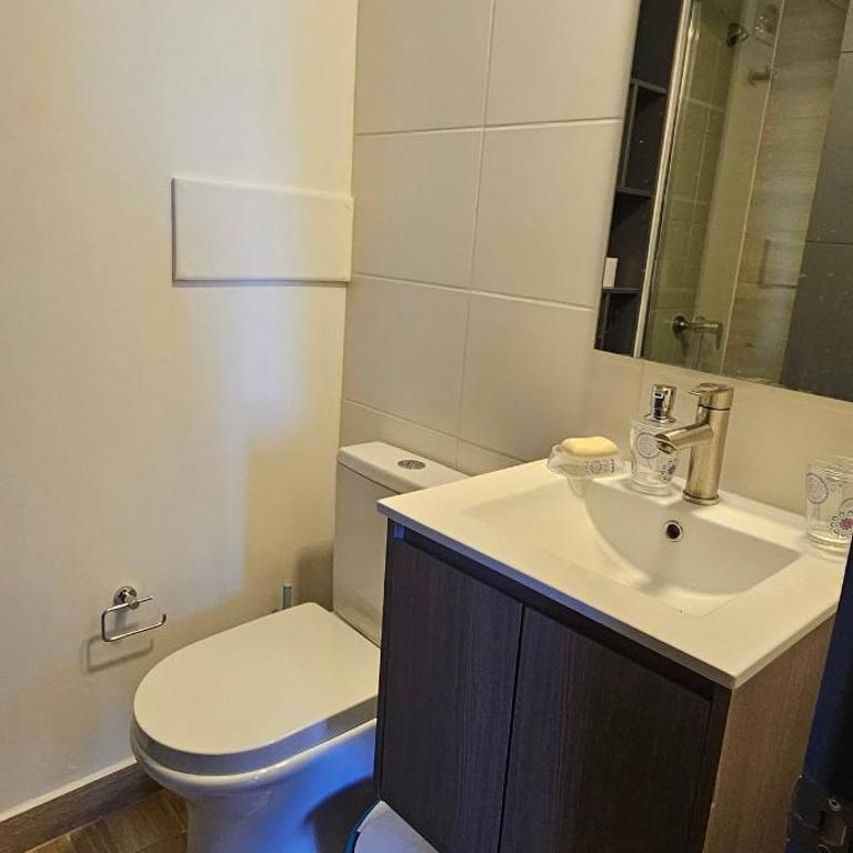Santiago apartment, steps away from the Italia neighborhood - One-Bedroom Apartment - 9