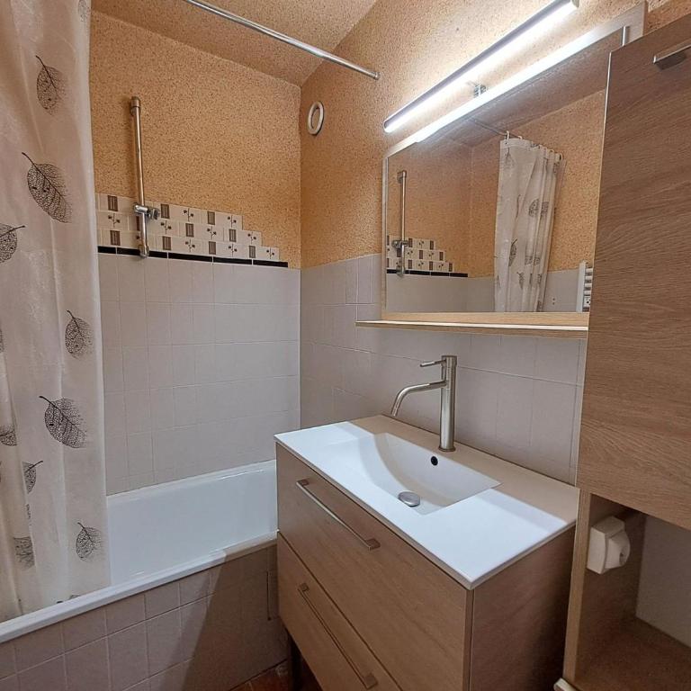 Studio 4 pers, centre station Les Deux Alpes, animaux admis - FR-1-516-75 - Monolocale - 10