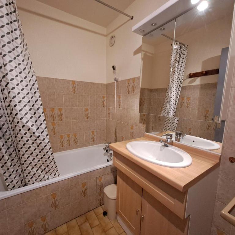 Studio confortable au centre des Deux Alpes proche des pistes - FR-1-516-151 - Monolocale - 12