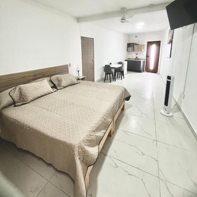 LOFT cerca estadio Akron chivas - Apartment mit 1 Schlafzimmer - 1