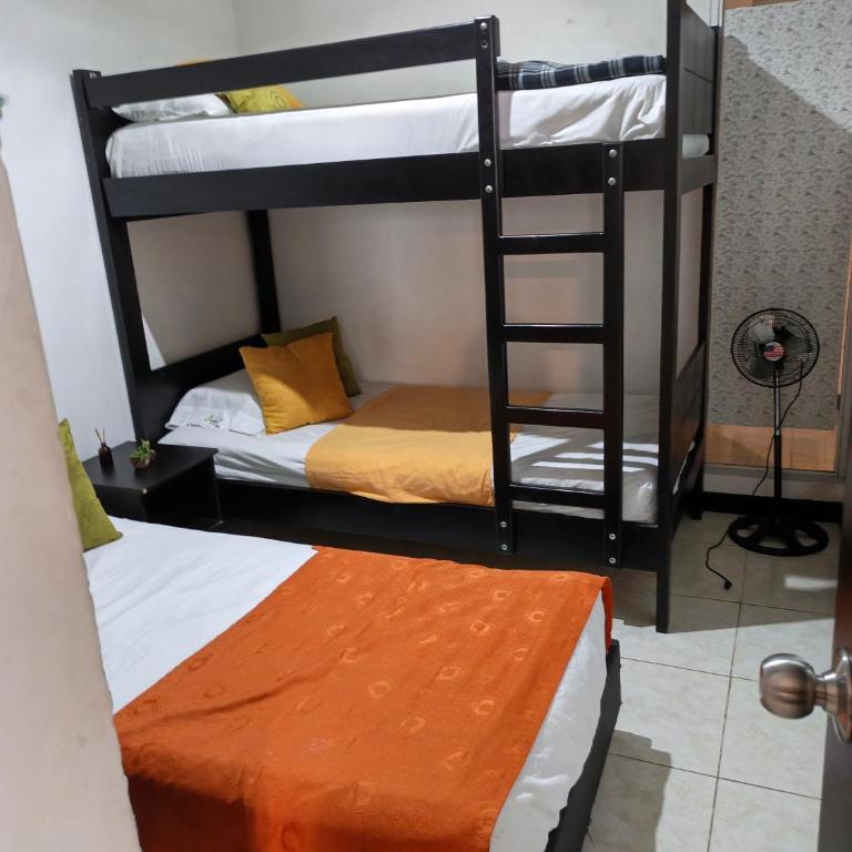 A minutos del Parque del cafe Apartamento Amoblado - Apartamento de 2 dormitorios - 8