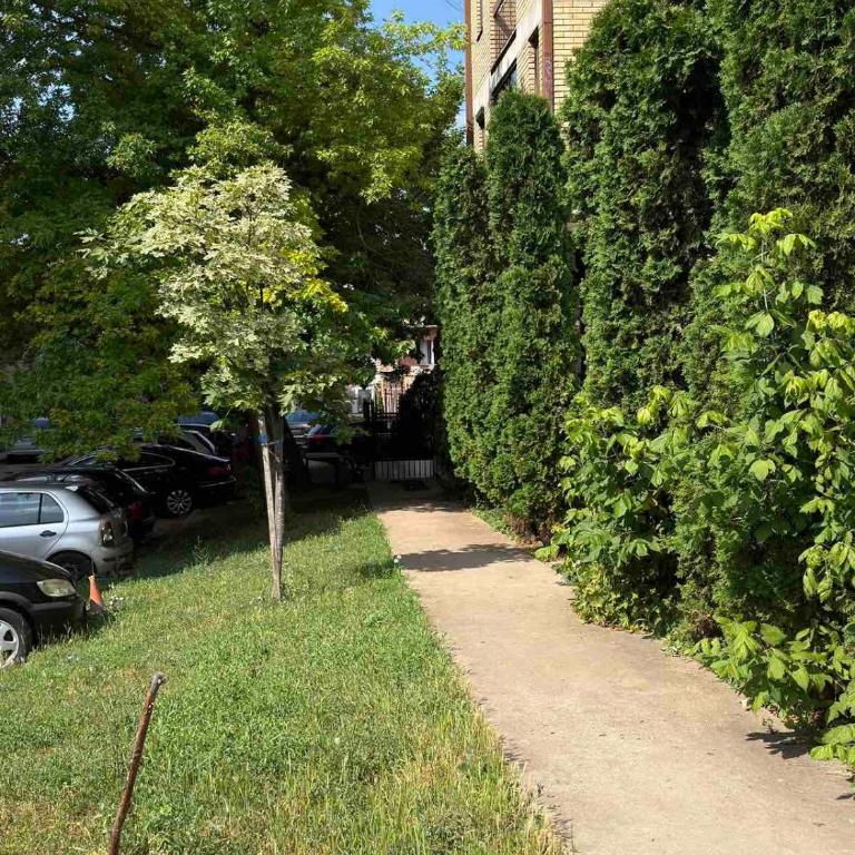 Apartment Sokobanja - Apartman sa 1 Spavaćom Sobom - 22