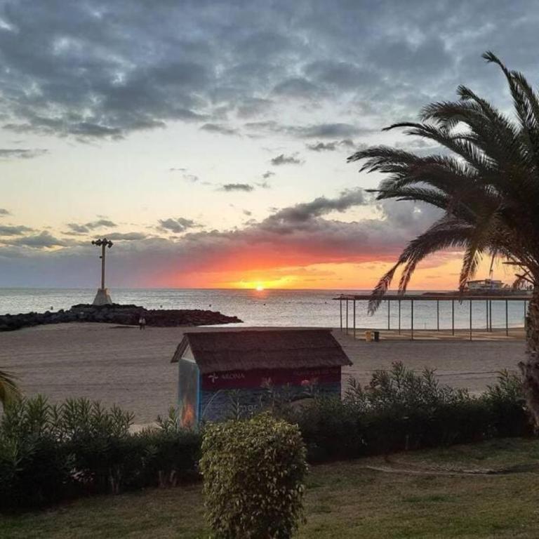 Holiday Apartments Oasis - Apartamento con vistas al mar - 26