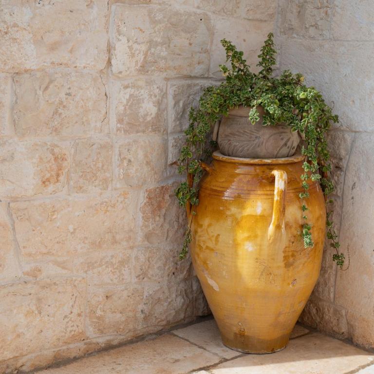 Trullo degli Anelli in Masseria - Appartamento con 1 Camera da Letto e Vista Giardino - 19