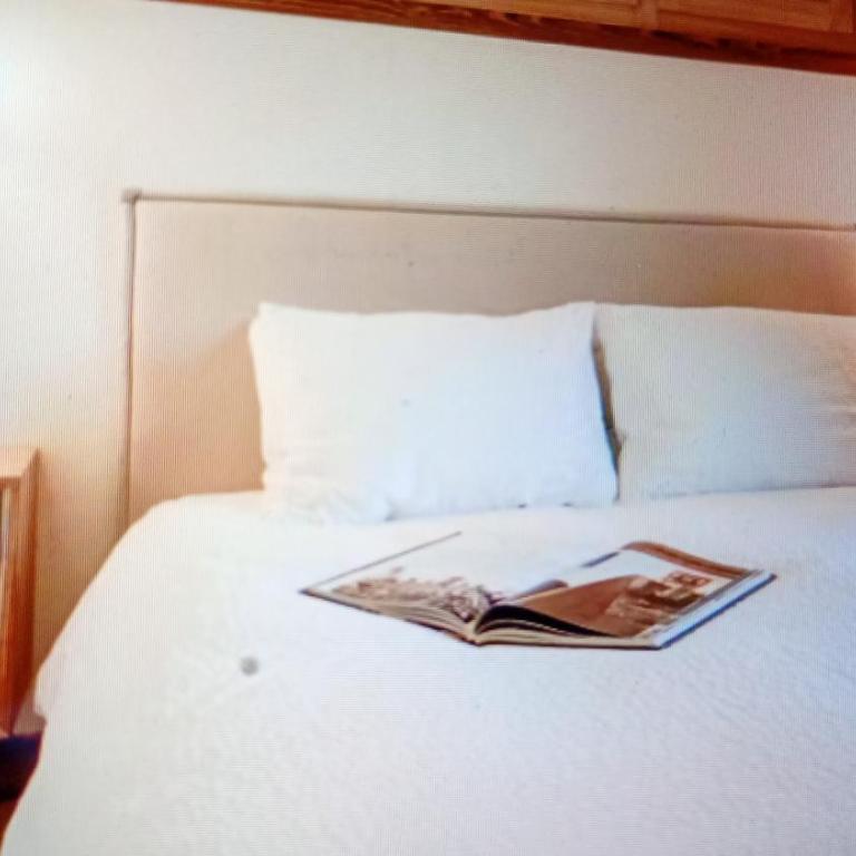 PIA Property - Charming and Cozy - Superior Apartment - 3