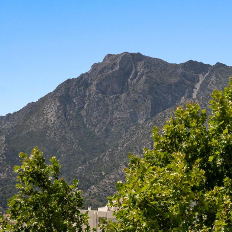 Marbella Sky Penthouse - Private Rooftop Pool - Apartamento - 30