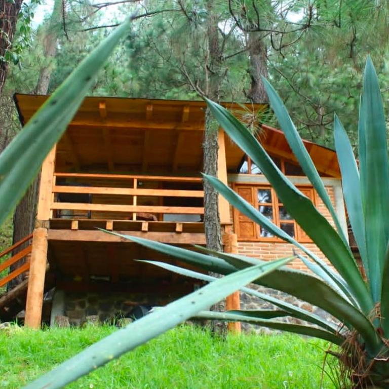 Cabañas las Alazanas - Habitación Doble Estándar con sofá - 1