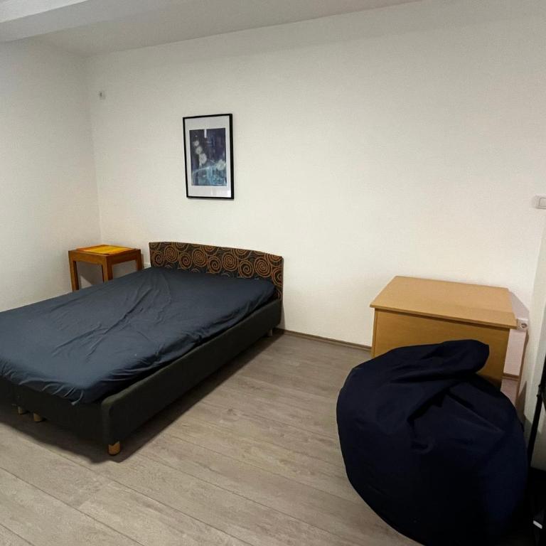 Modern Cozy Studio Apartment - Quiet and Fully Equipped - One-Bedroom Apartment - 8
