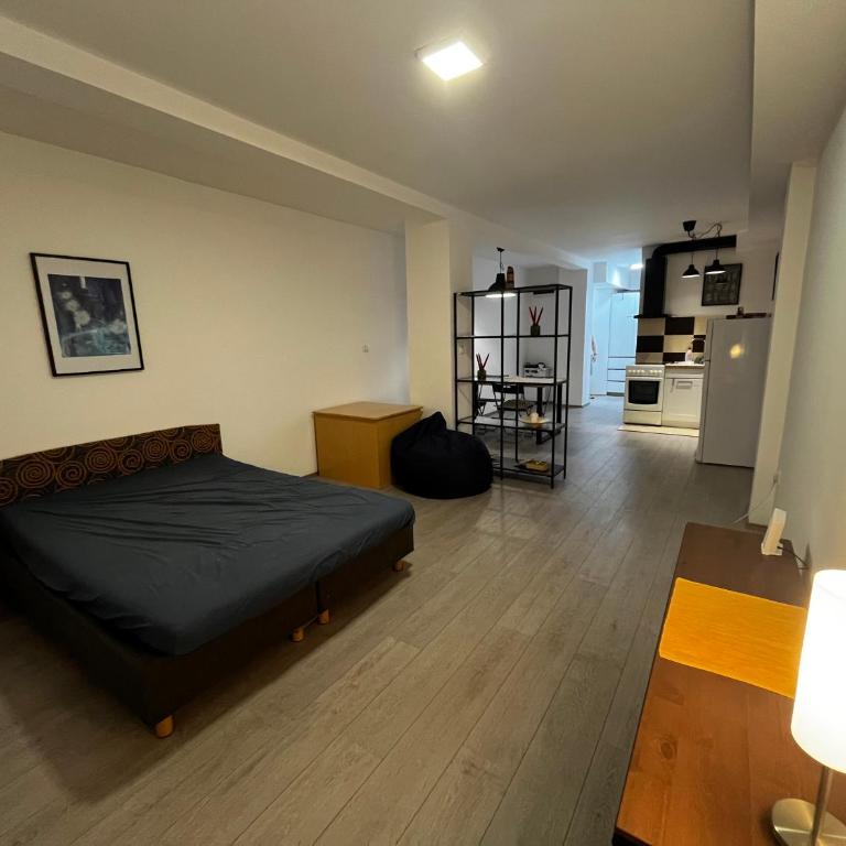 Modern Cozy Studio Apartment - Quiet and Fully Equipped - One-Bedroom Apartment - 11