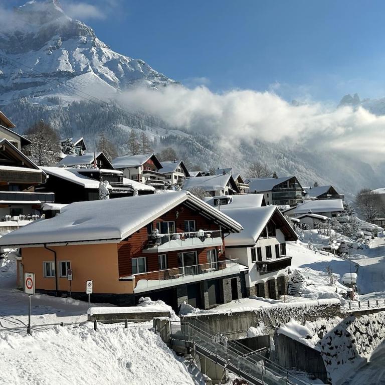 Alpine Chic Escape with Spa & Panoramic Views - Casa de 3 dormitorios - 14