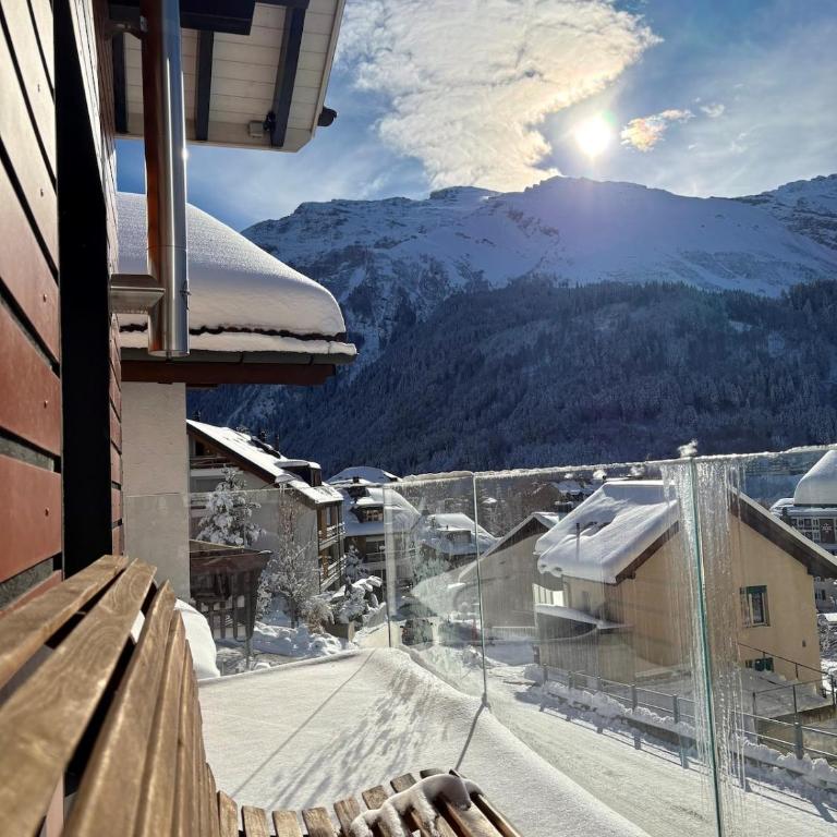 Alpine Chic Escape with Spa & Panoramic Views - Casa de 3 dormitorios - 22
