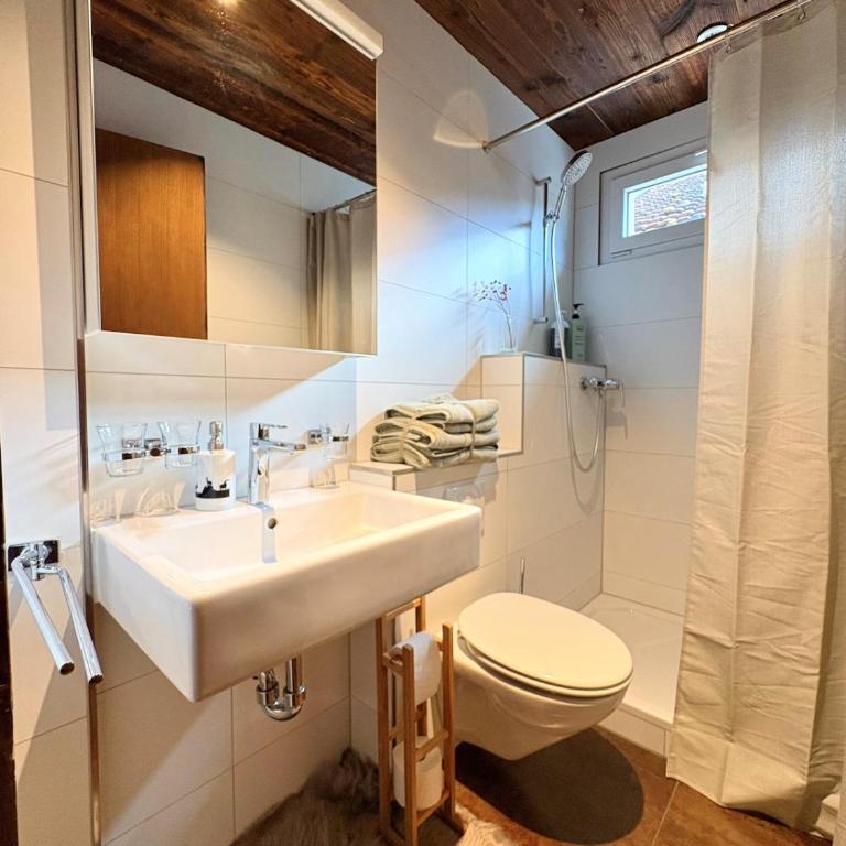 Alpine Chic Escape with Spa & Panoramic Views - Casa de 3 dormitorios - 24