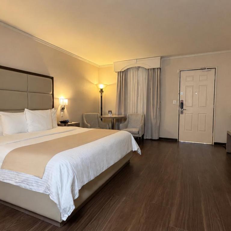 Safi Royal Luxury Centro - Habitación con cama extragrande y vistas al jardín - 4