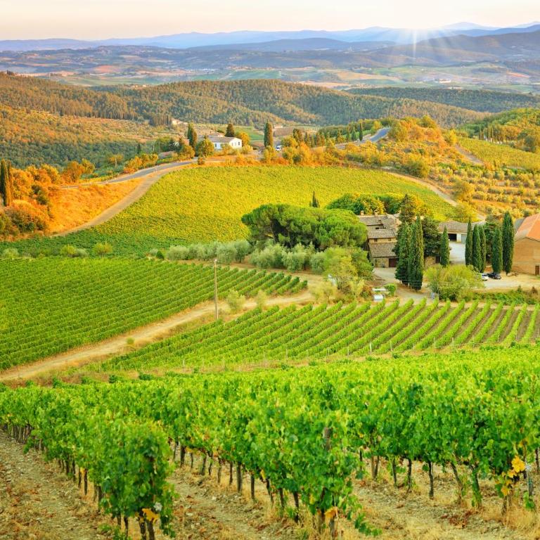 Penthouse Serena Montepulciano - Two-Bedroom Apartment - 71