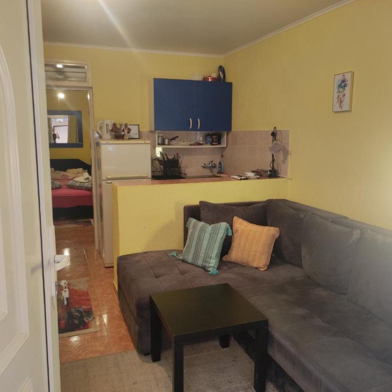 Petrovac stan - Appartement 1 Chambre - 7