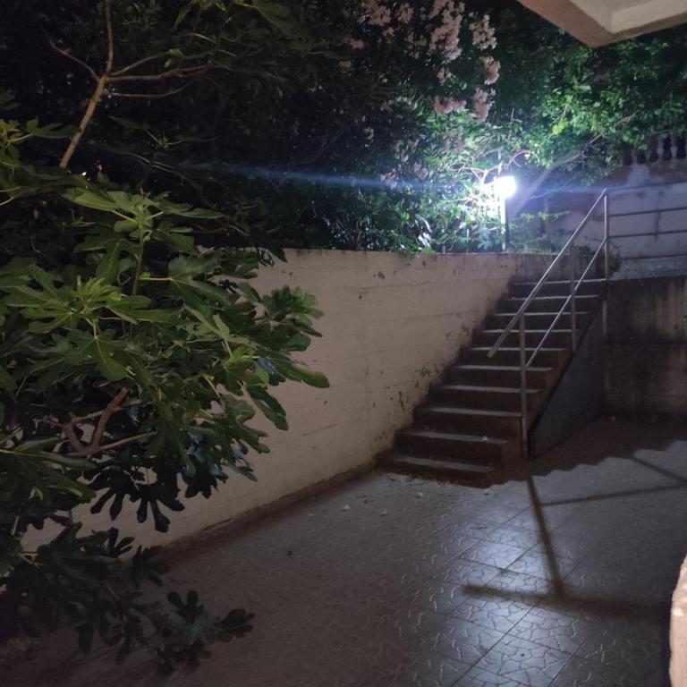 Petrovac stan - Appartement 1 Chambre - 8