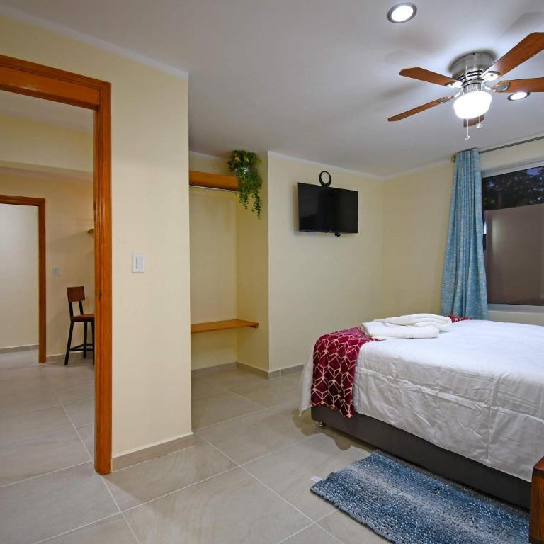 The Poolside Suite Downtown Access free parking on street - Apartamento - 11