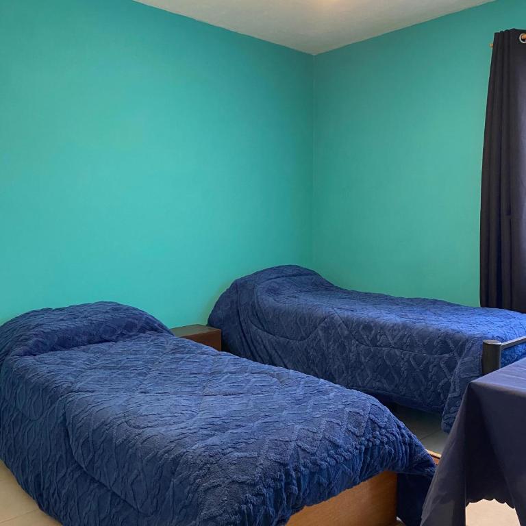 Casa Vista Olivo - Two-Bedroom House - 12