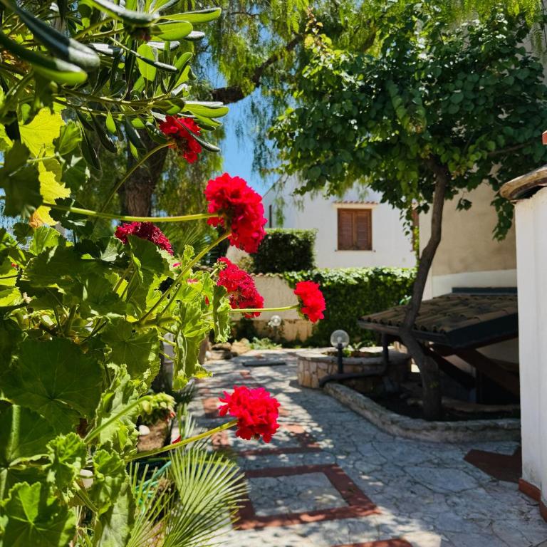 Il giardino del Falso Pepe - Three-Bedroom House - 4
